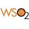 wso2-org